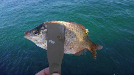 ファミリーで5目フィッシング♪