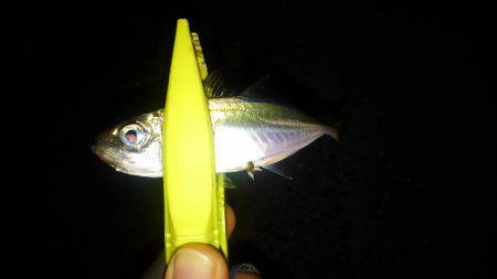 ランガンアジング