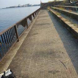 渋かったオクトパッシング