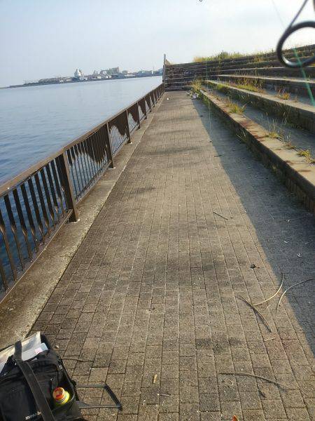 渋かったオクトパッシング