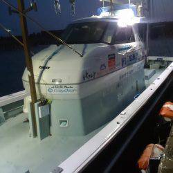 敦賀でイカメタル