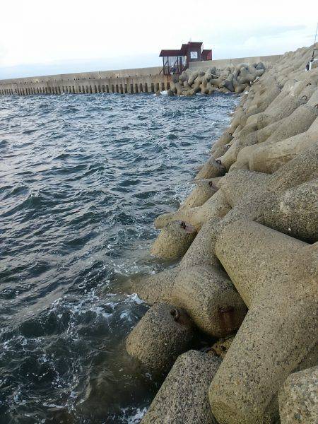 タチウオ復活か?