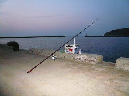 早朝から洲本港でキス狙い