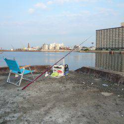 明石港へ釣行しました