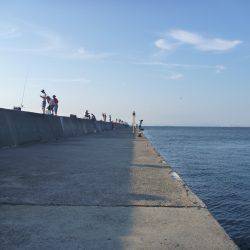 タチウオ狙いのハズが。。。