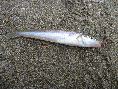 ファミリーキッシング