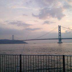 夕涼みのファミリーフィッシング