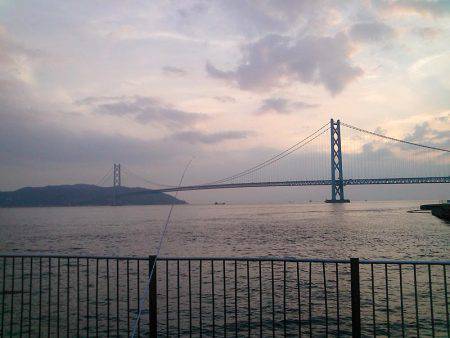 夕涼みのファミリーフィッシング