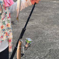 初めての釣り場