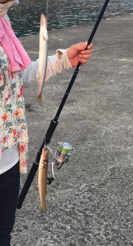 初めての釣り場