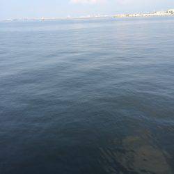 夏のサヨリちゃん