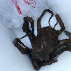 オクトパッシング