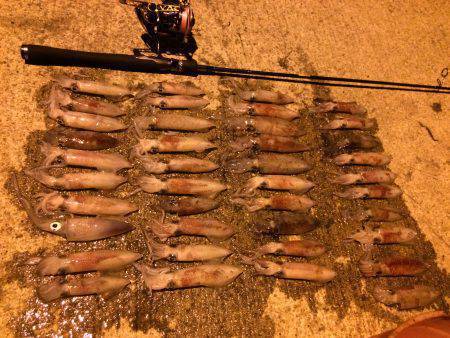 ライケン二回目