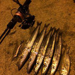 ライケン三回目