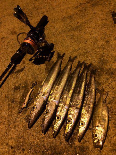 ライケン三回目