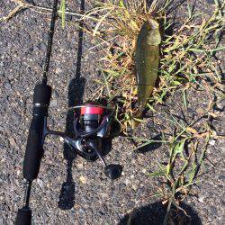 ショアジギング