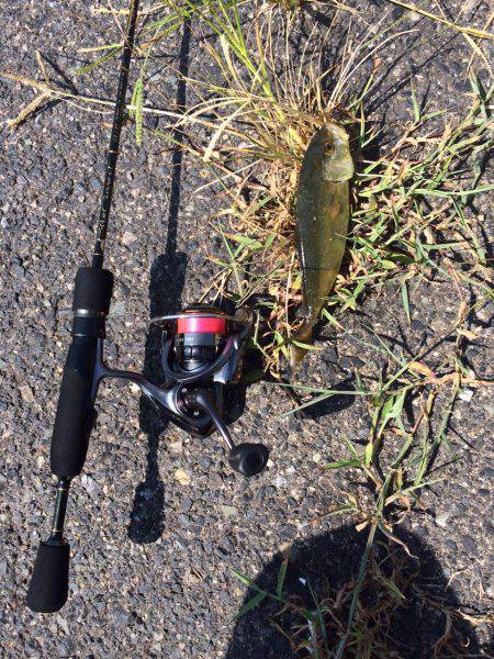 ショアジギング