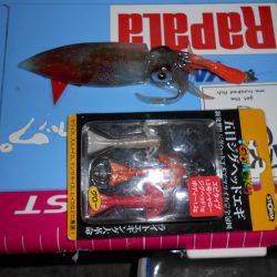五目ジグヘッドエギDEケンサキ*\\\\\\\\(^o^)/*
