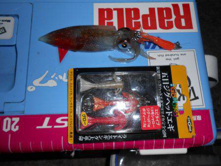 五目ジグヘッドエギDEケンサキ*\\\\\\\\(^o^)/*