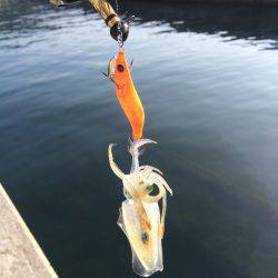 もう終わりか？