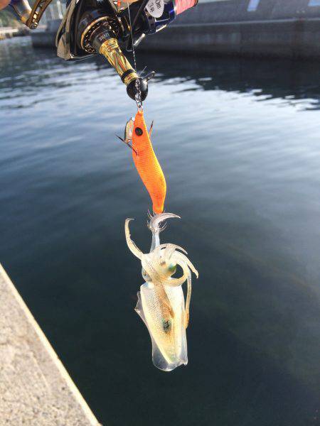 もう終わりか？