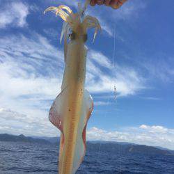 マイボートでイカメタル釣行