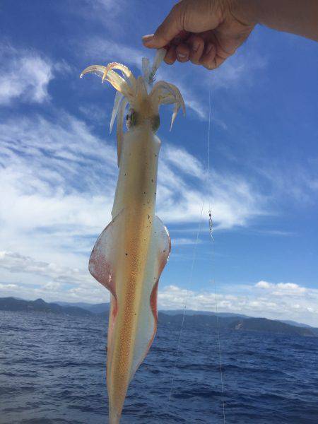 マイボートでイカメタル釣行