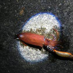 人混みを避けて…