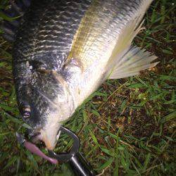 リアクション攻め