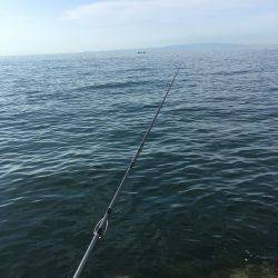 天ぷらにハマって