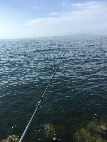 天ぷらにハマって