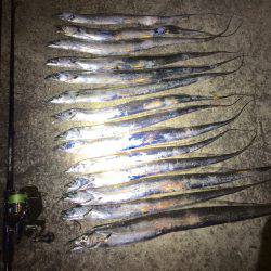 久々のタッチョ