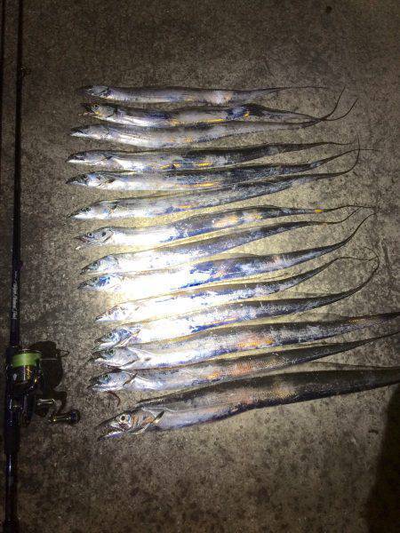 久々のタッチョ