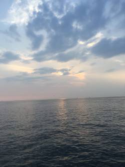 びっくりするほどアタリまくり〜