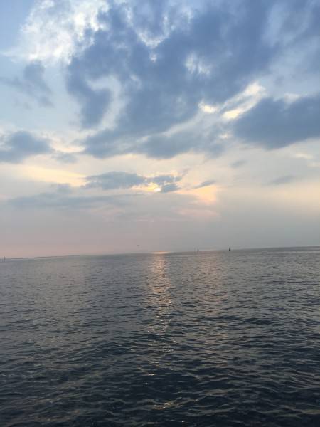 びっくりするほどアタリまくり〜