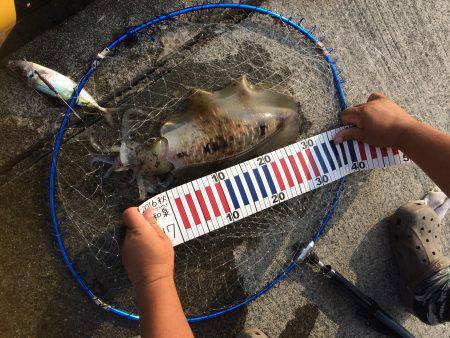 キロオーバーねらい