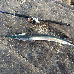 貧果投稿スミマセン