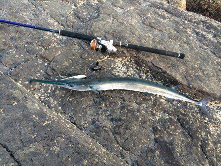 貧果投稿スミマセン