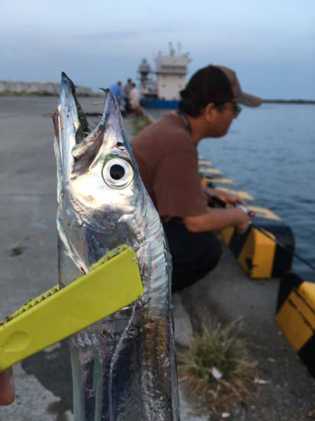 ムッシュ崇之  サーベリング