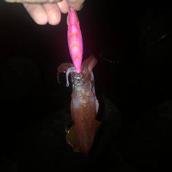 3ヶ月ぶりの釣行