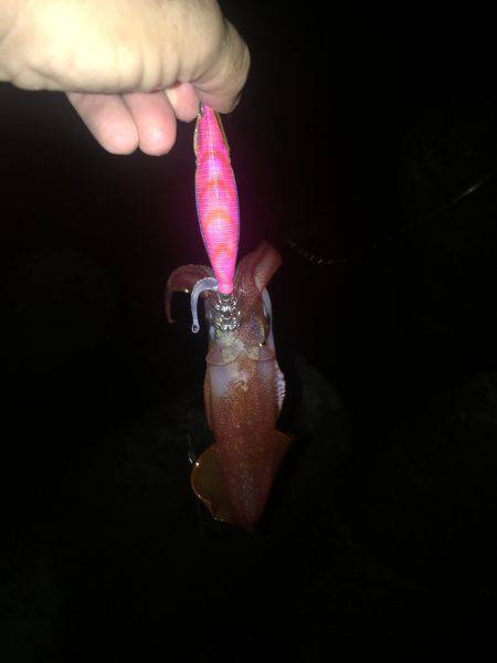 3ヶ月ぶりの釣行