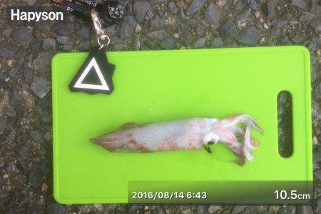 ヤッパリ腕の差