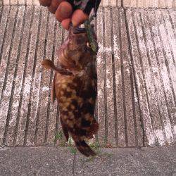 自作ワームでガシリング