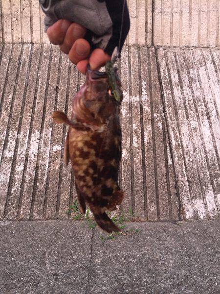 自作ワームでガシリング