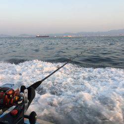 大阪湾船タチウオ