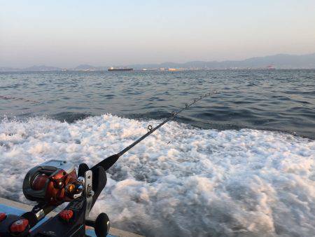 大阪湾船タチウオ