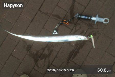 ワインド、プラグ、ブレード