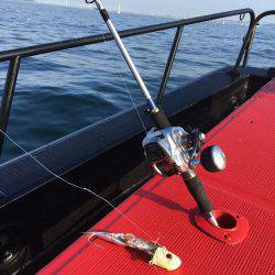 今季初のタチウオ