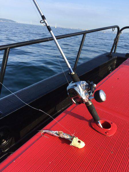 今季初のタチウオ