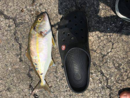 のんびり釣りの旅